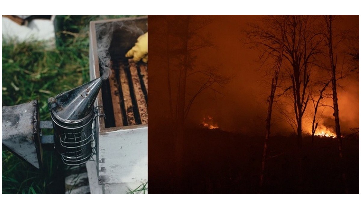 Fumos e incendios forestais